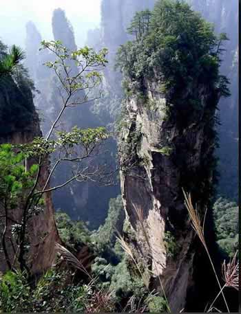 長(zhǎng)沙出發(fā)到張家界溶洞奇觀黃龍洞、國(guó)家森林公園、袁家界、峰林之王天子山三日游（早班）